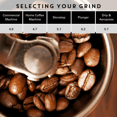 Select your grind for Costa Rica Merlo Coffee beans