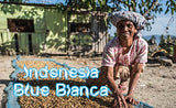 Indonesia Blue Bianca